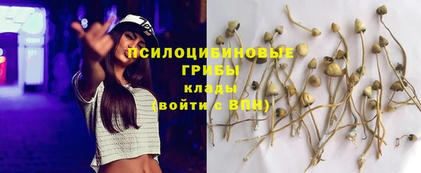 марки lsd Белоозёрский