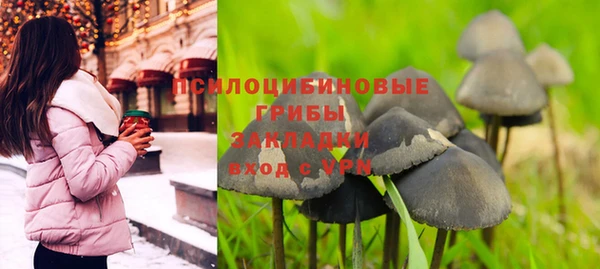 шишки Баксан