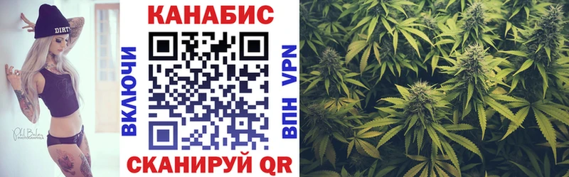 Купить закладки  Сковородино  Конопля семена 